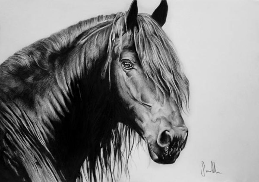 Desenho de cavalo a grafite, papel canson A4 200gr, 2016