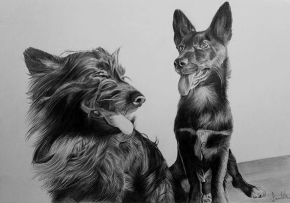 Retrato de cães a grafite sobre papel canson A4, 2017