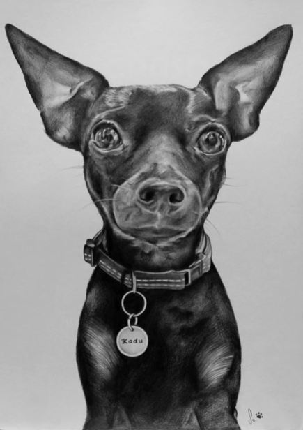 Retrato de cão a grafite sobre papel canson A4 200gr, 2016