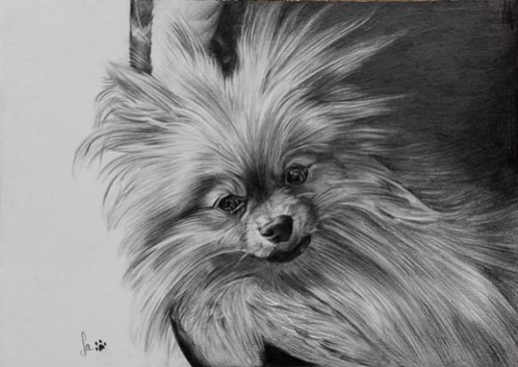 Retrato de cão, grafite sobre papel canson A4 200gr, 2016